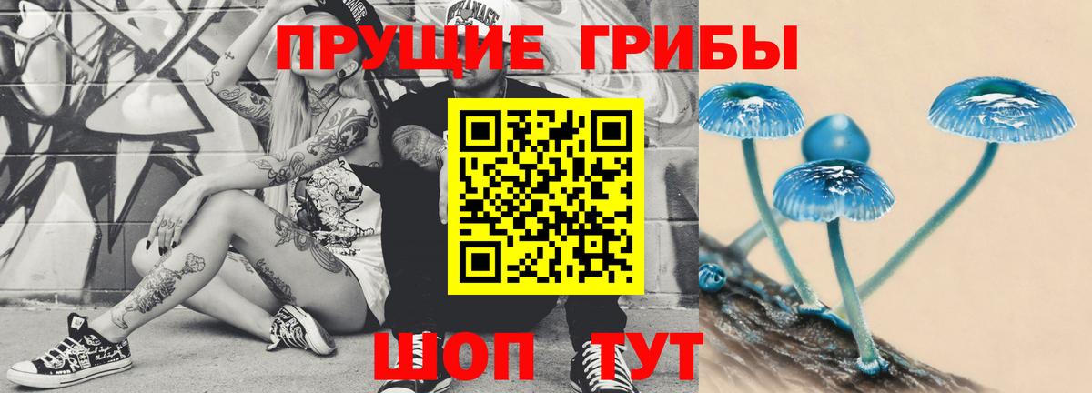 сколько стоит  Вход с VPN  Старый Оскол  Псилоцибиновые грибы Magic Shrooms  Псилоцибиновые грибы прущие грибы 